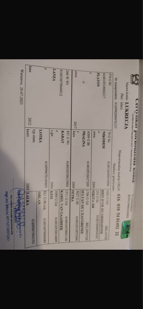 Klacz zajezdzona zrebna i do bryczki