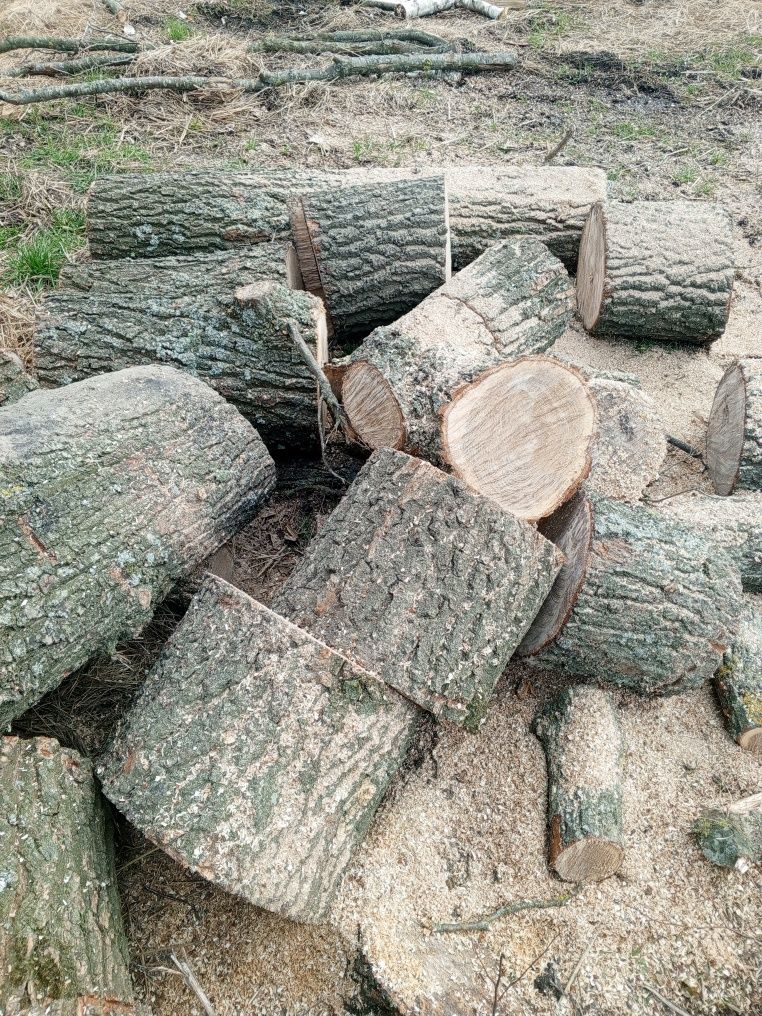 В купить  дрова колоті з доставкою по Києву та Київській області