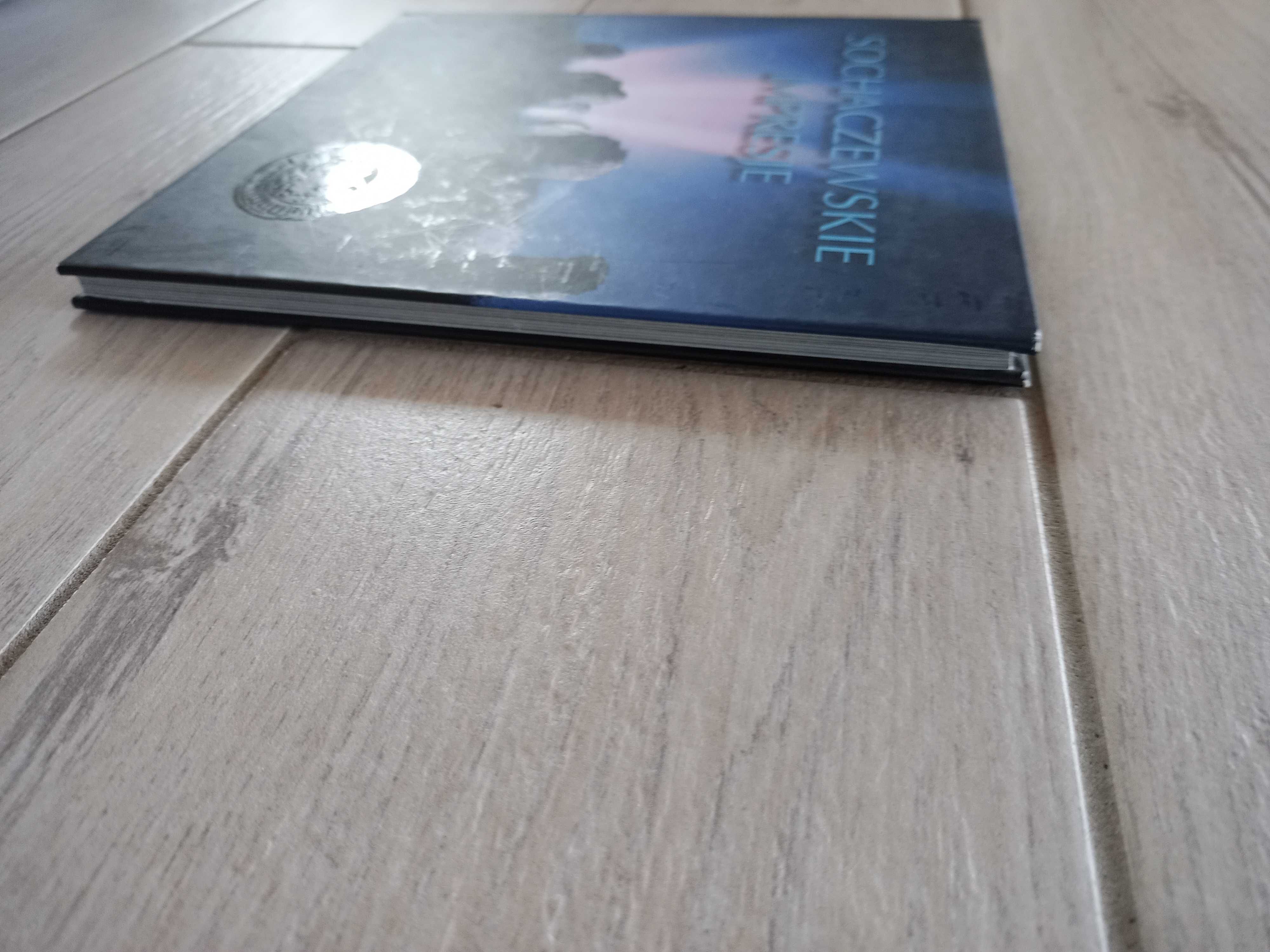 Sochaczewskie impresje album