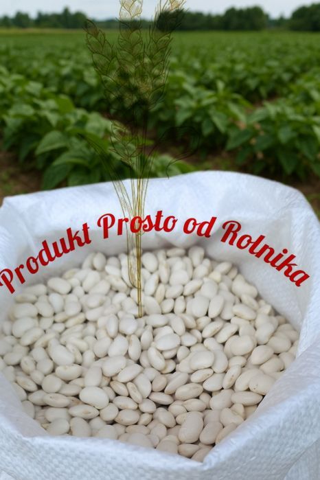 Fasola Jaś Opakowanie 5 kg wysyłka natychmiast Inpost