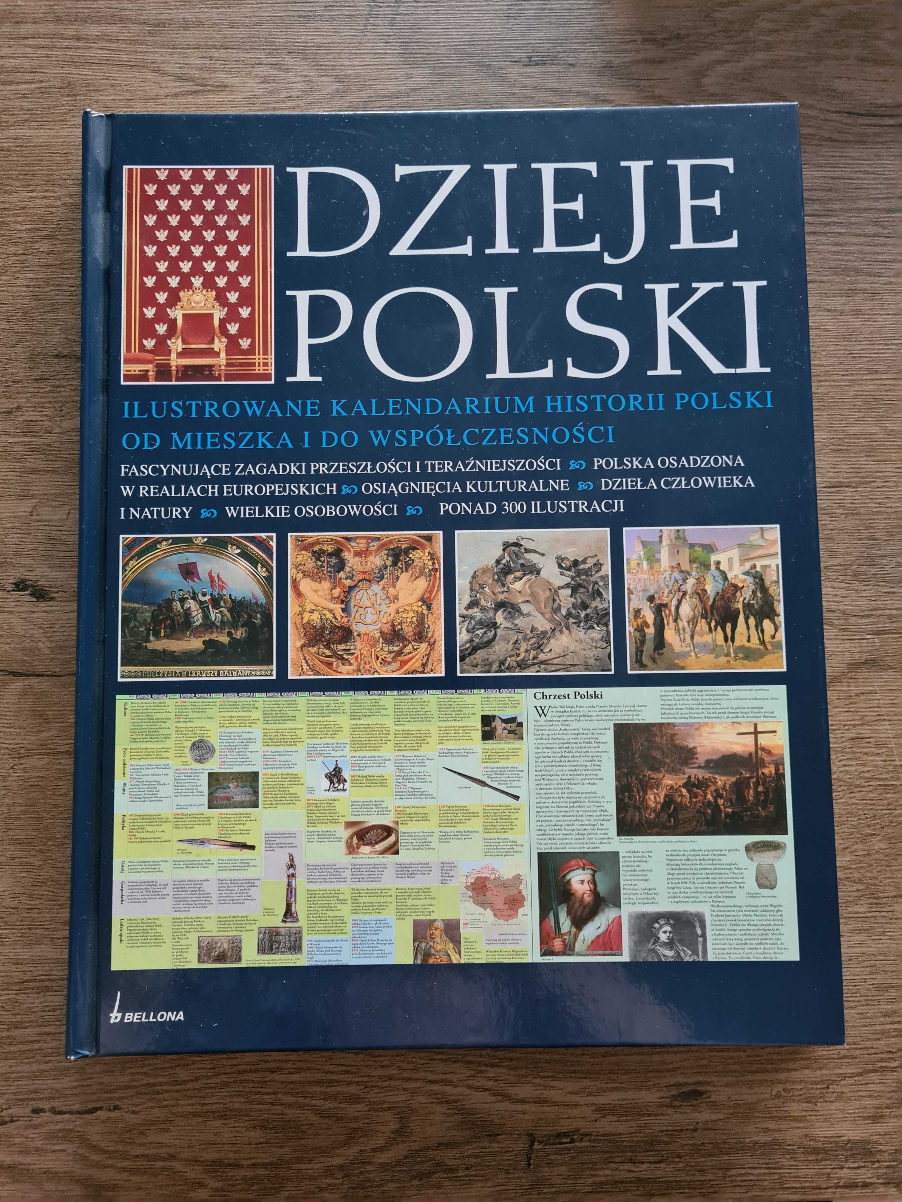 Książka Dzieje Polski - Ilustrowane kalendarium historii Polski