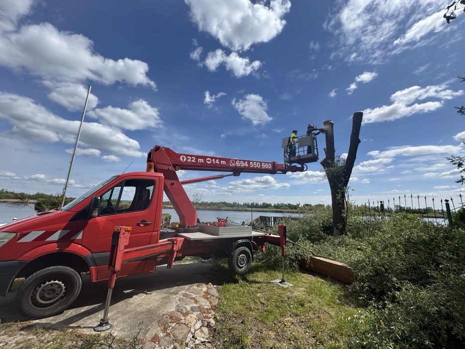 Wycinka i pielegnacja drzew z podnosnika i alpinistycznie