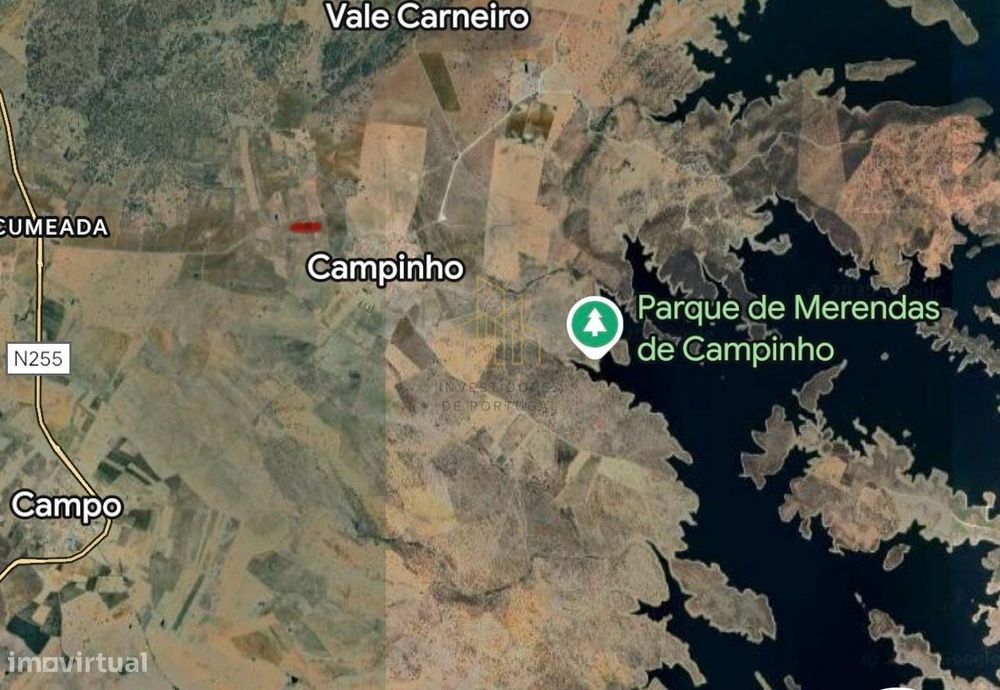 Terreno rústico com Olival em Campinho