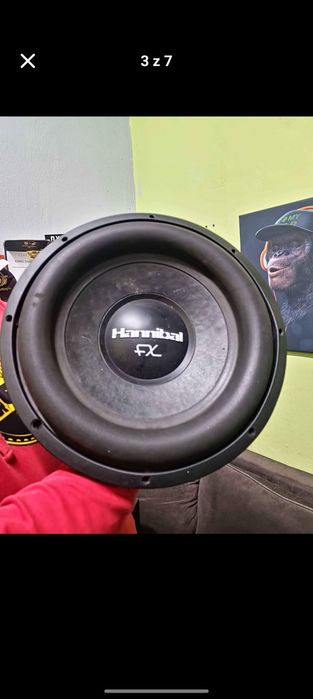 Car audio Hannibal