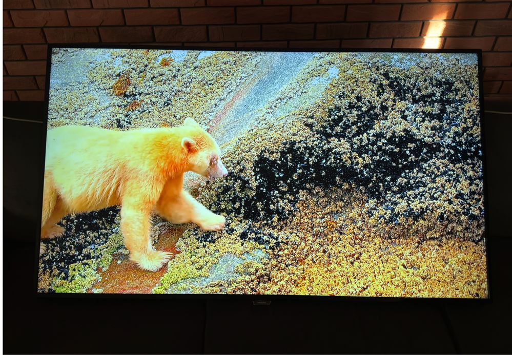Telewizor LED Philips 65 cali 4K Netlix, Youtube