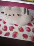 Maskotka Pusheen oryginal