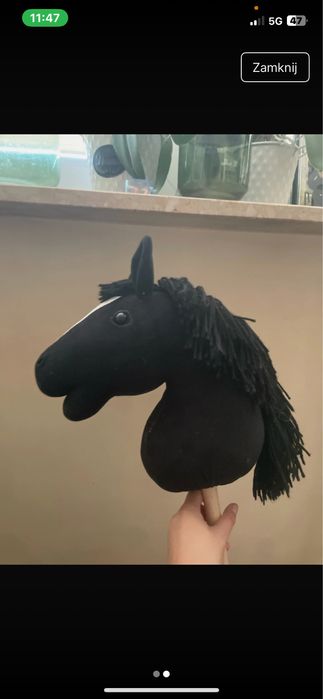 Hobby horse Lublin
