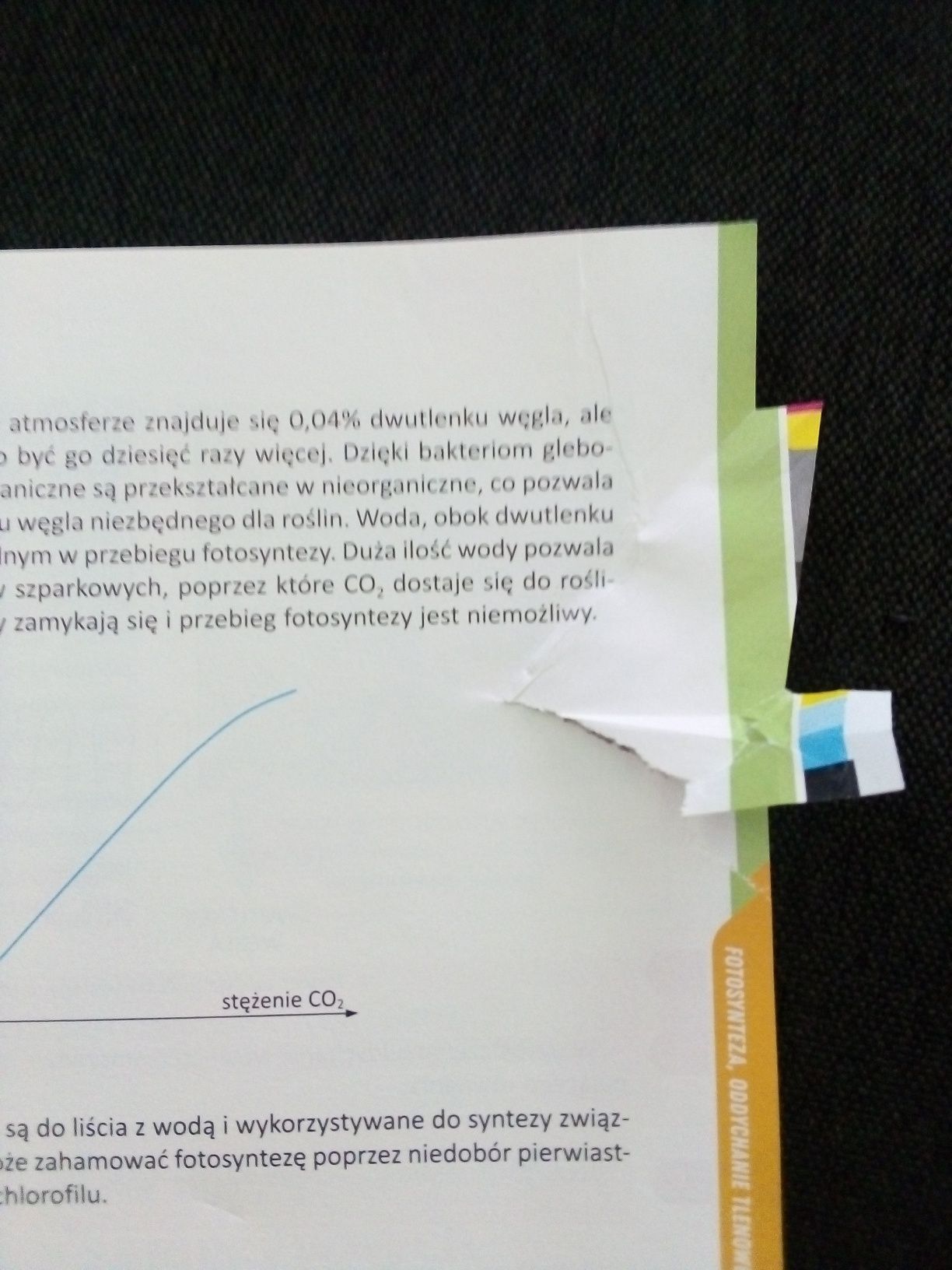 Repetytorium. Szkoła podstawowa. Biologia