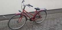 Batavus Beagle rower holenderski (gazella, giant)