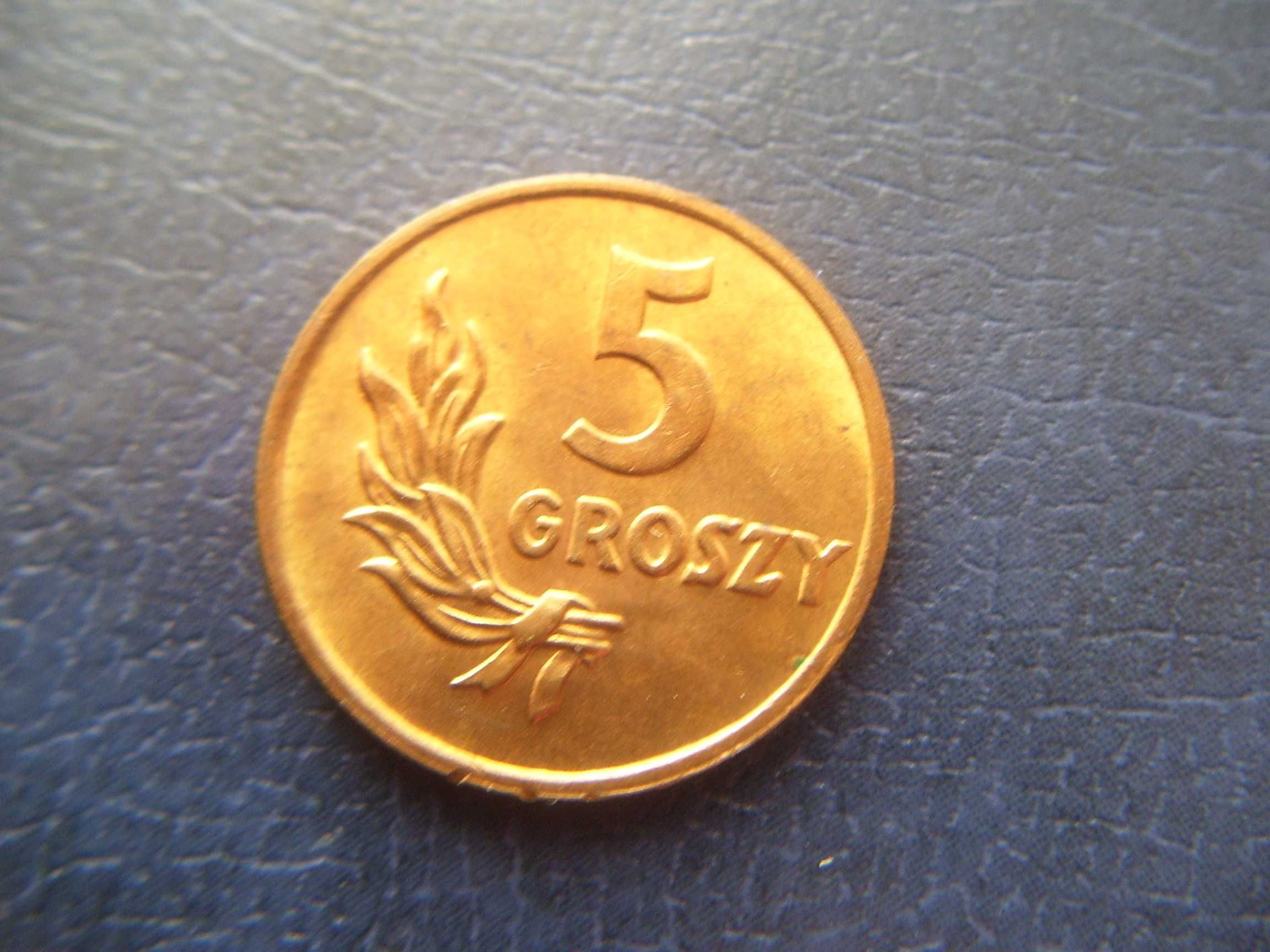 Stare monety 5 groszy 1949 B PRL  stan menniczy