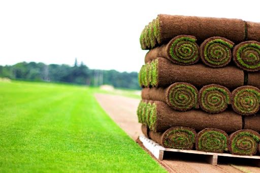 Рулонный газон - Спорт. Живая трава с работой и автоматическим поливом