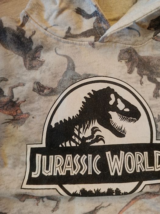 Bluza Jurassic World dinozaury 104 dla chlopca