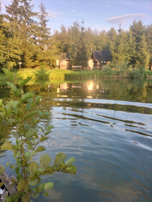 Noclegi dla firm,, Noclegi, Wąbrzeźno ,Radzyń chełmiński,Kowalewo