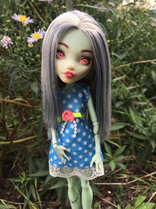 Ооак Монстер хай Френкі