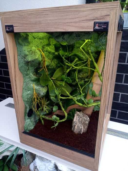 Terrarium nr20 40/40/60 dąb craft dla gekona orzęsionego NA ZAMÓWIENIE