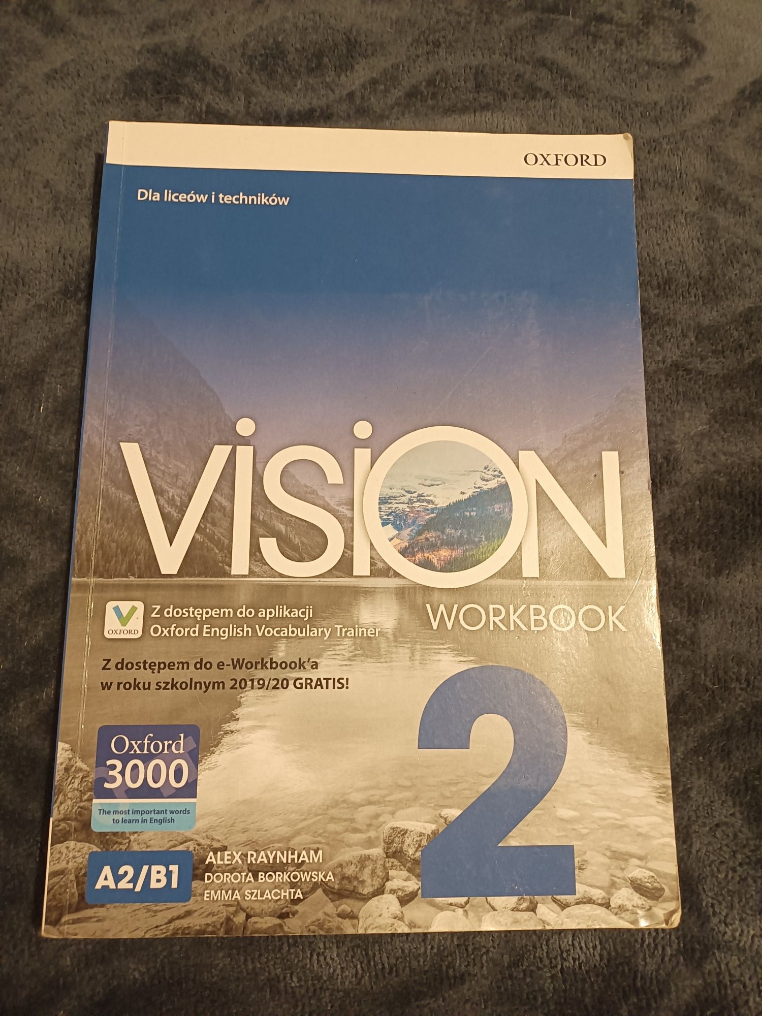 Vision 2 workbook