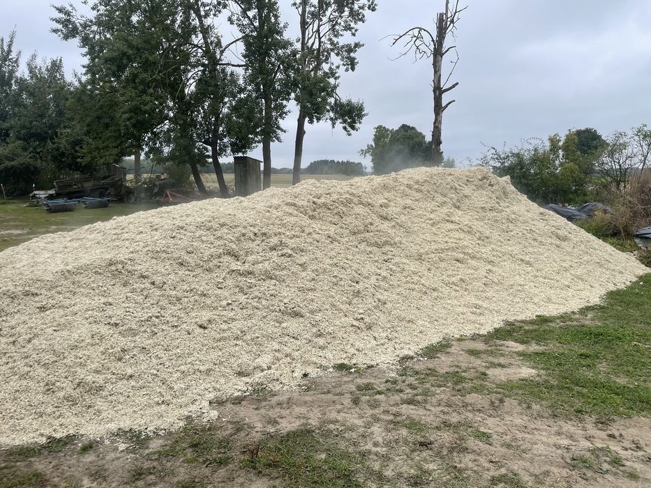 Wysłodki Buraczane z Transportem