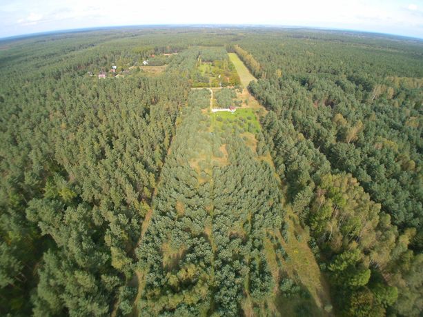 Działka rekreacyjno-leśna o pow. 3000 m2 - Ponik, ul. Wczasowa - Janów