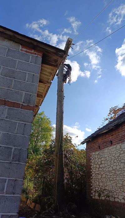 Wycinka drzew - Alpinistyczna - Ogrody- Powiat Koniński