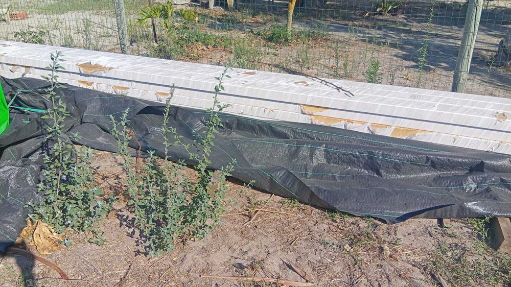 10 Vigas Madeira Lameladas 16x 8