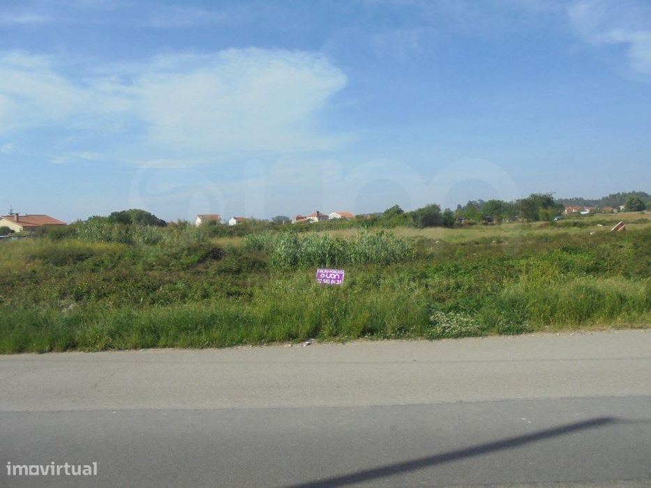 Terreno Rústico Aveiro