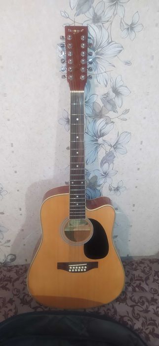 Гітара акустична 12-струнна Maxwood MD662112C