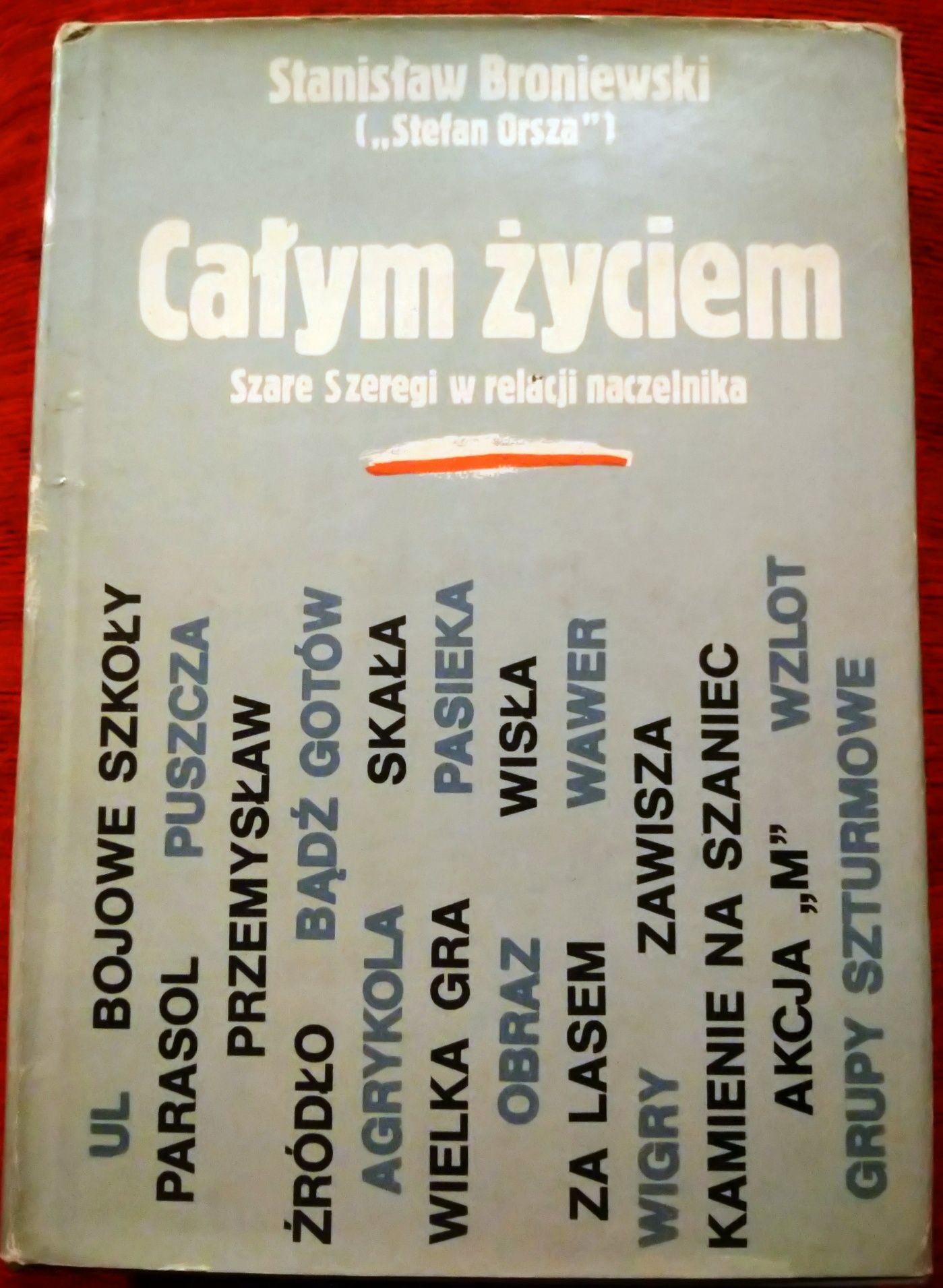 Całym życiem. Stanisław Broniewski. Szare Szeregi w relacji naczelnika