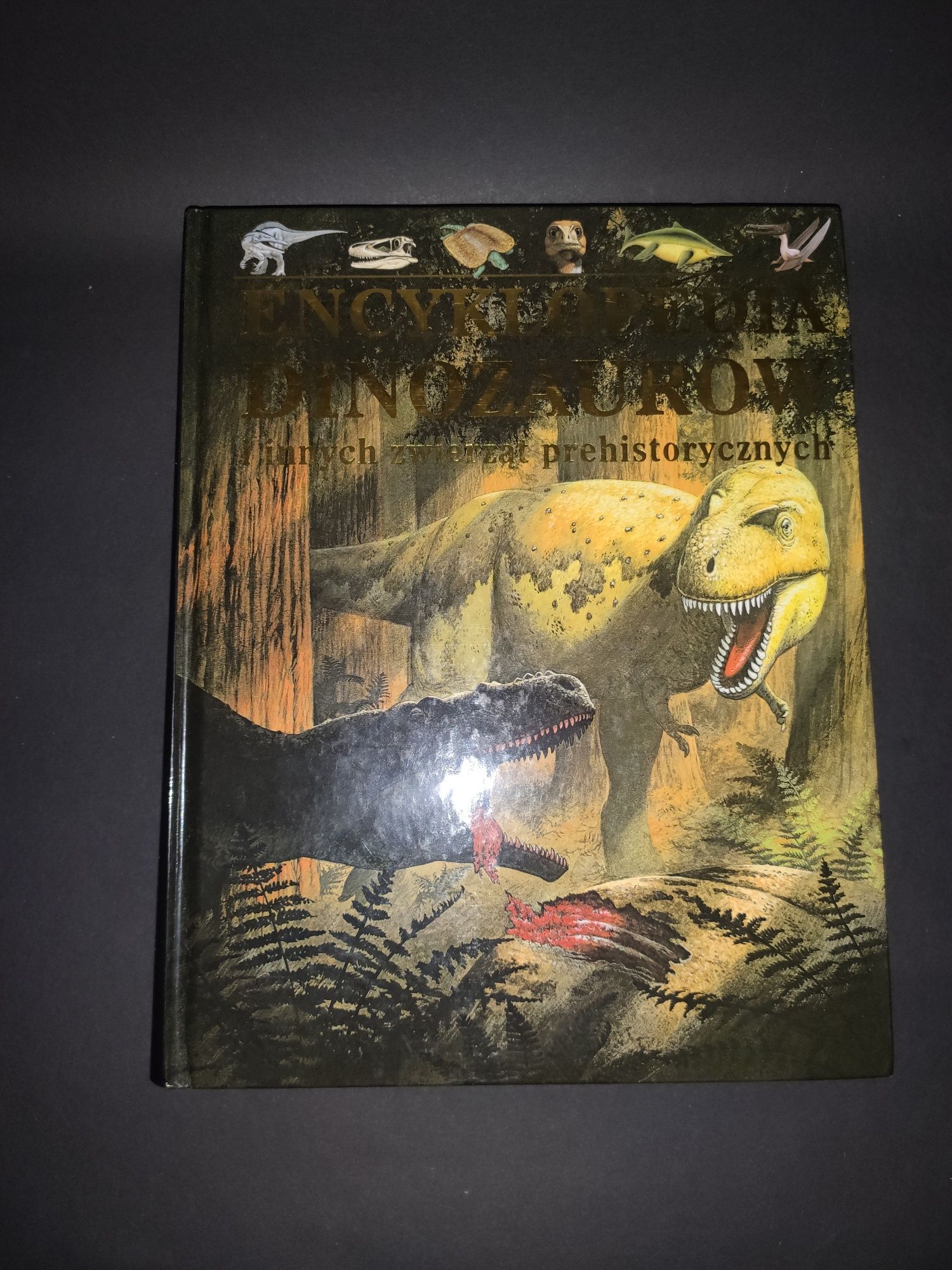 Książka Encyklopedia Dinozaurów