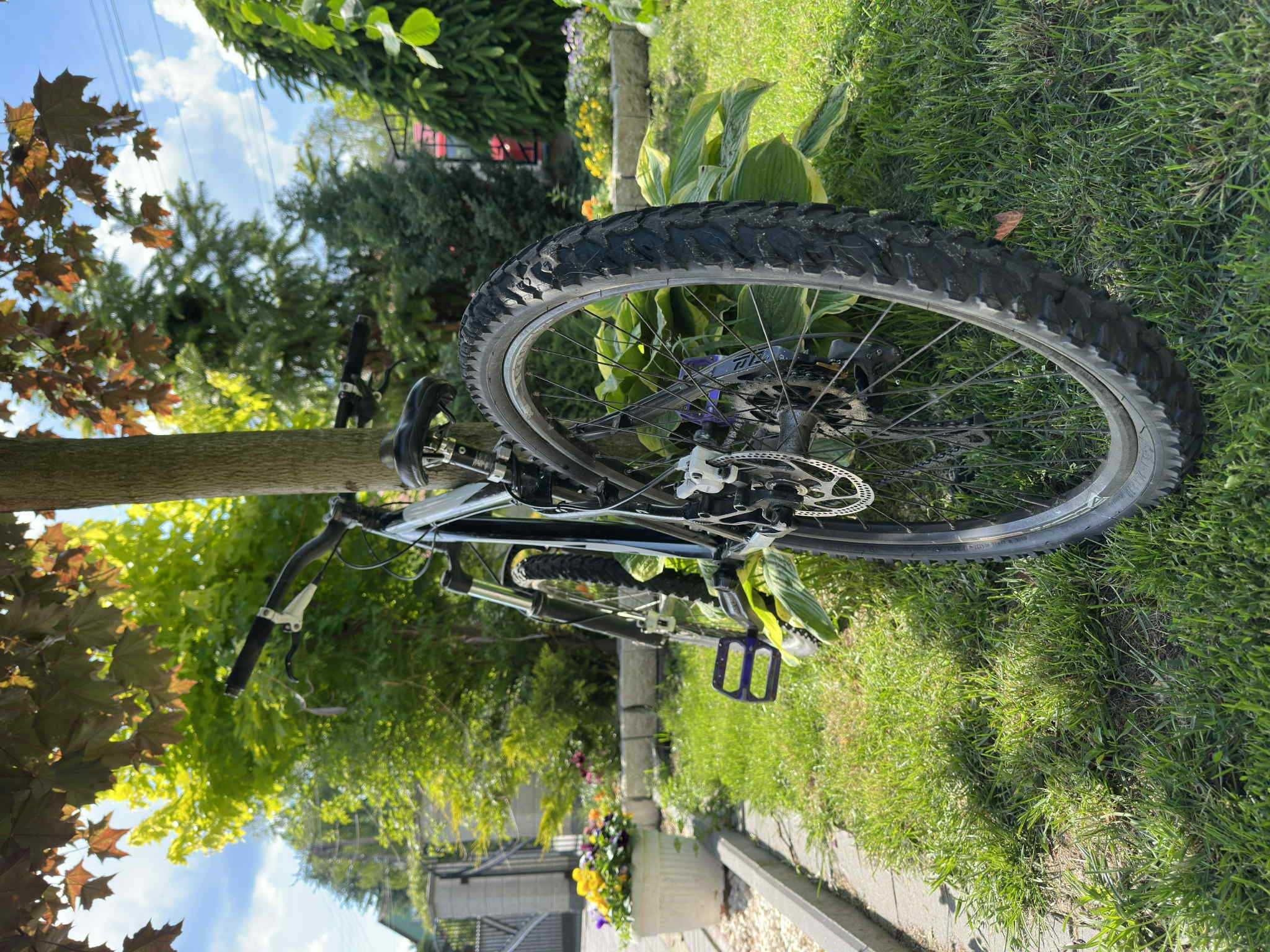 rower dirt (opis)