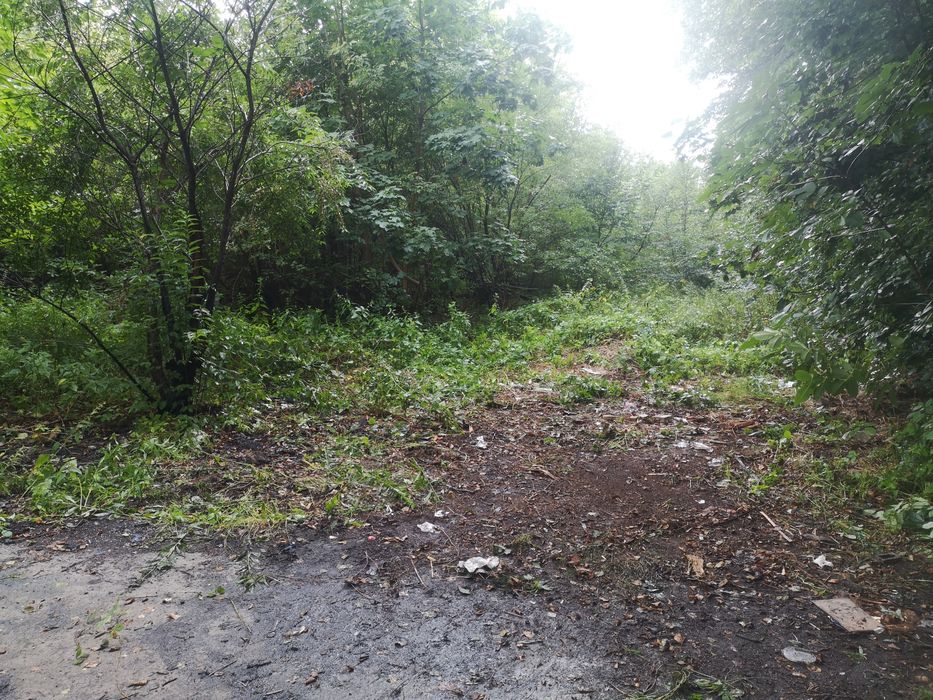 Sprzątanie, rozbiórki, wywóz, skuwanie, demontaż.