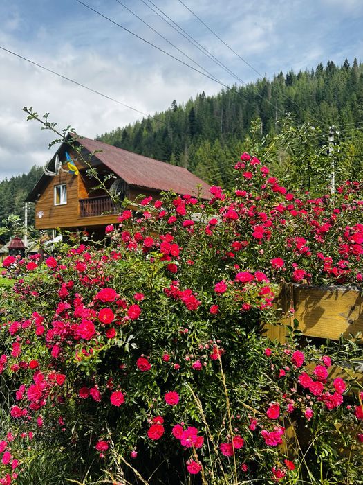 Котедж Яремче сімейний Афина