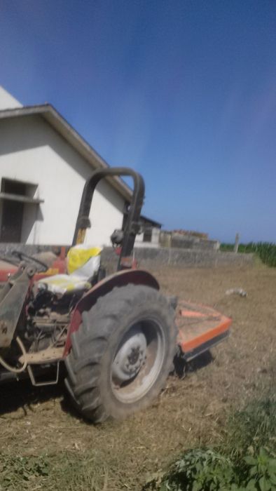 Limpeza de terrenos