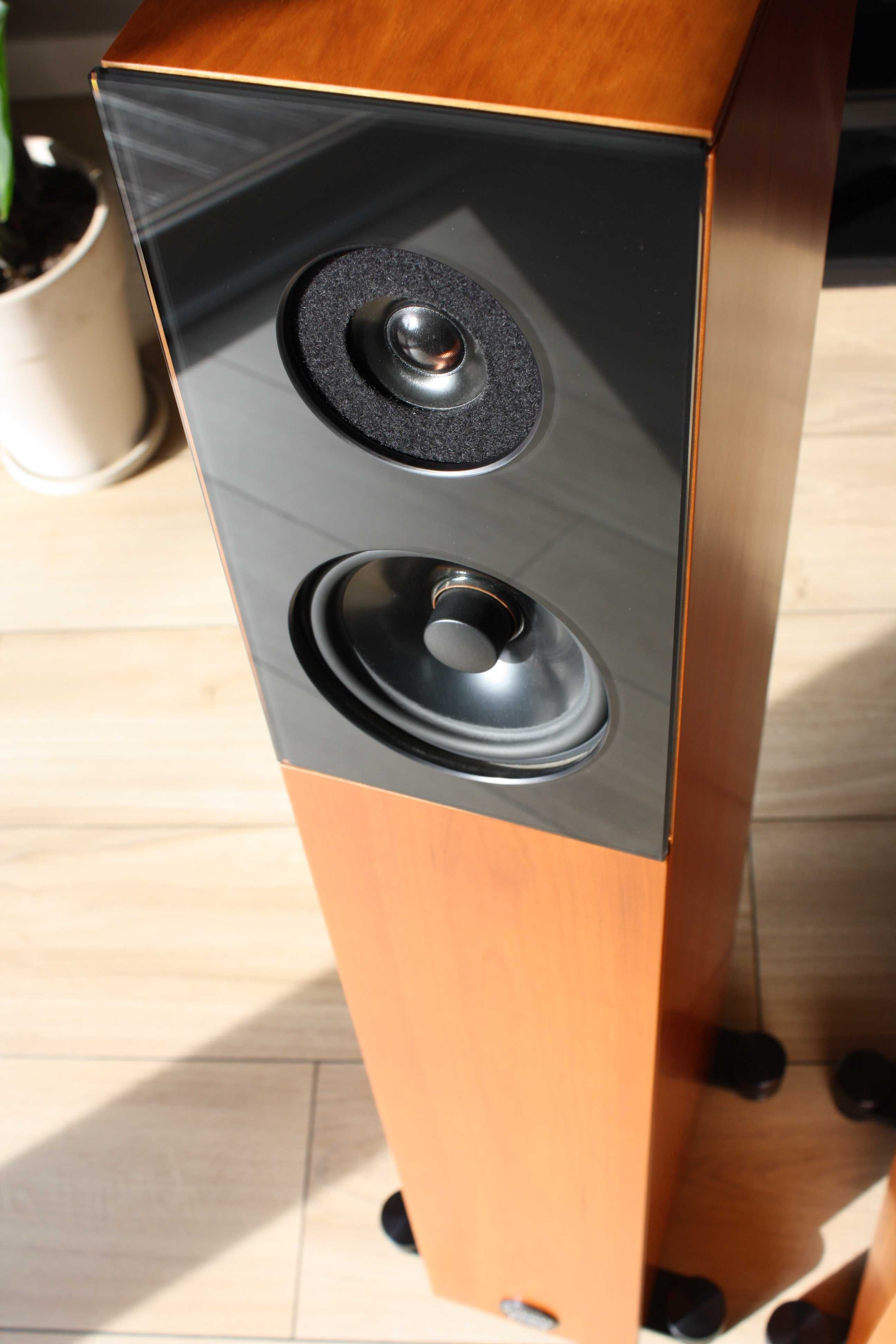 Kolumny Audio Physic Avanti 35