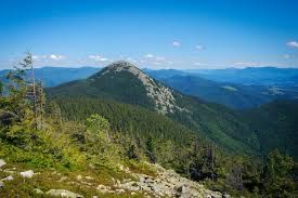 TAXI, ТАКСІ, Трансфер, пасажирські перевезення, Заросляк Говерла