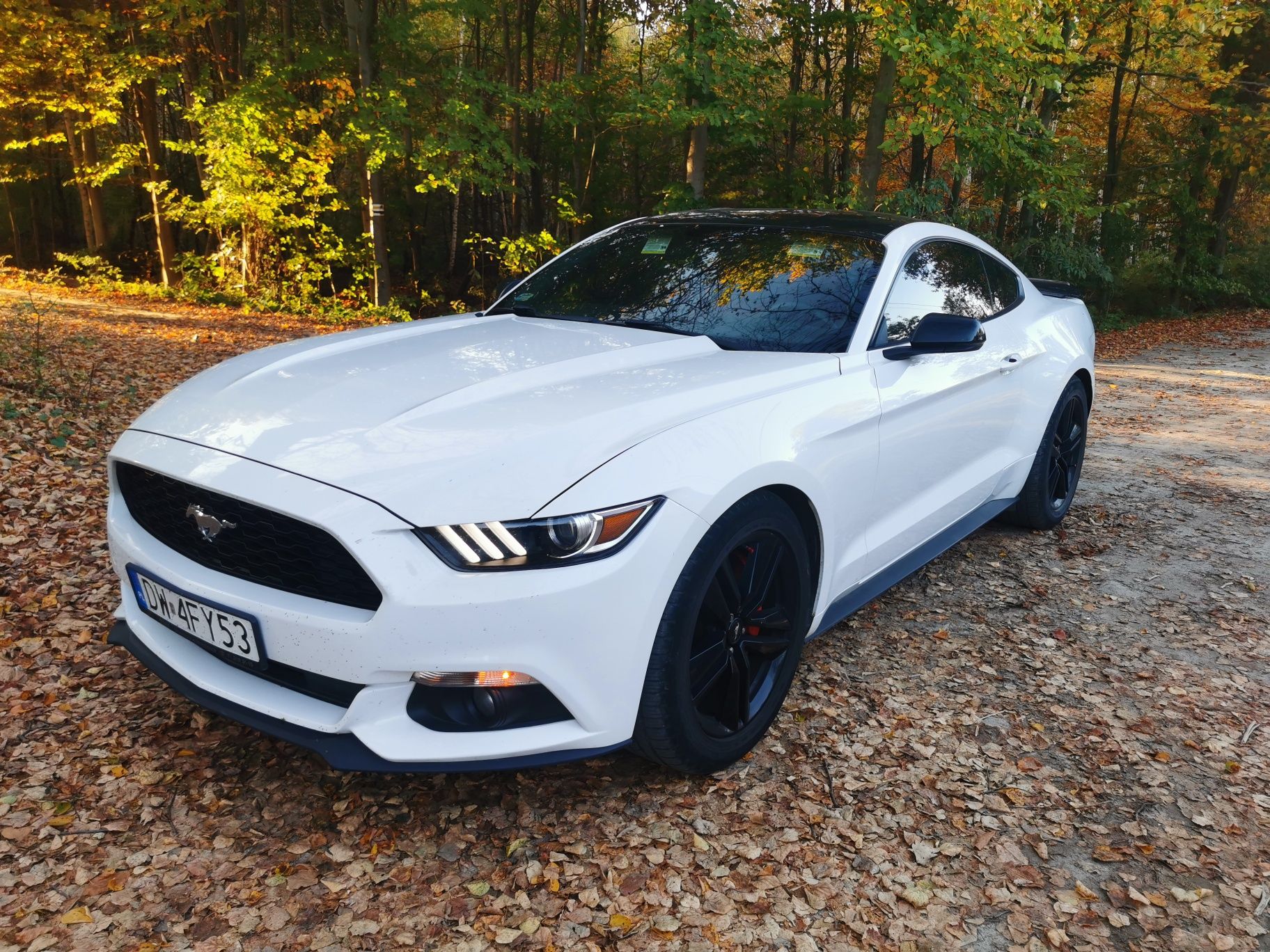 Ford Mustang VI performance