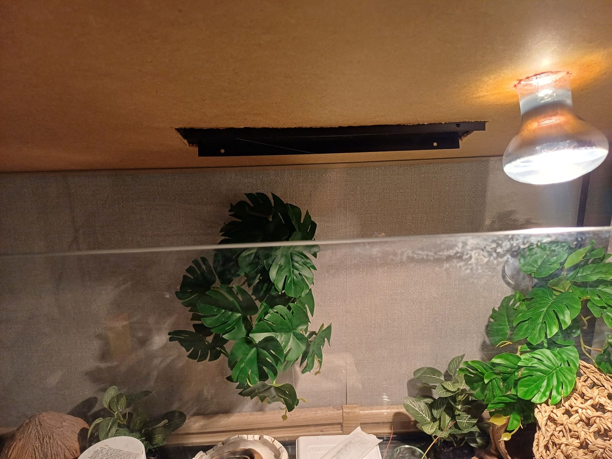 Terrarium po gekonie lamparcim - zestaw