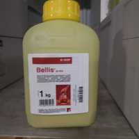 Bellis 38 wg 1Kg