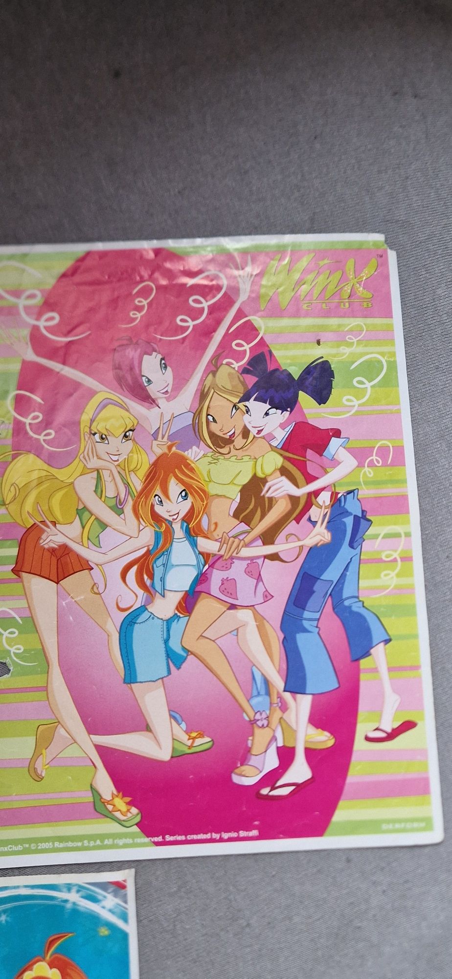 Karteczki winx duże