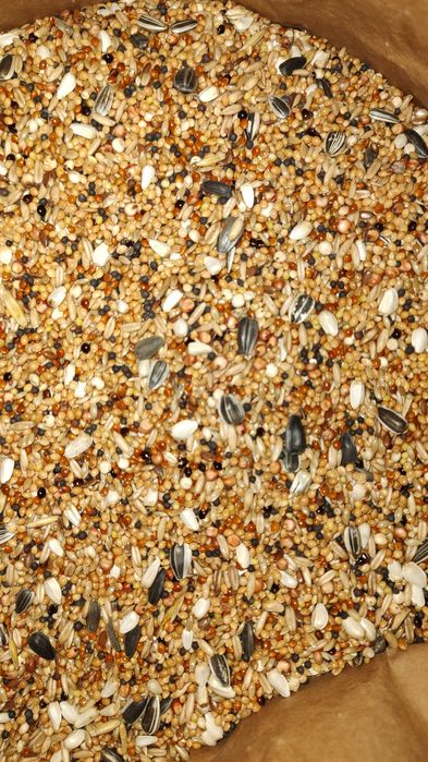 Karma dla papug małych Papuga uniwersalna PAU 10kg