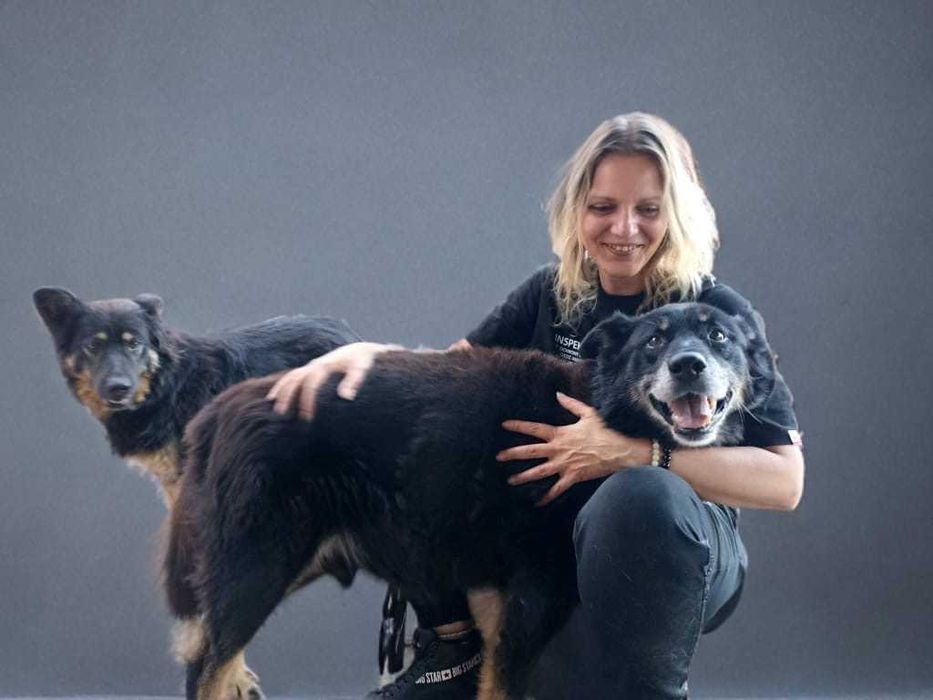 SARA I ROY - ok. 3 letnia suczka i ok. 9 letni pies