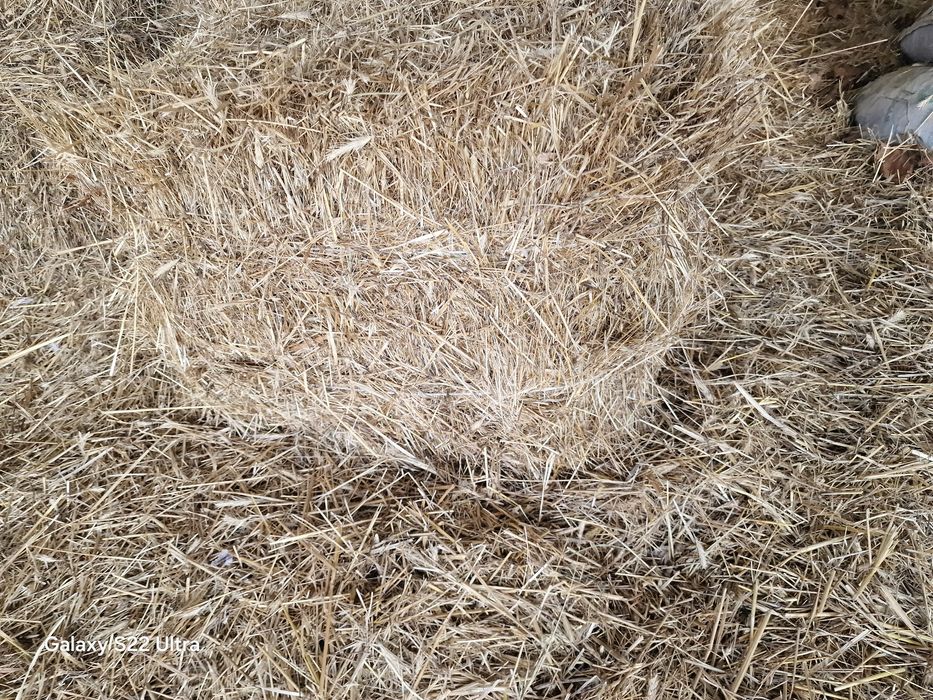 Sloma że stodoly / kostka /słoma /siano