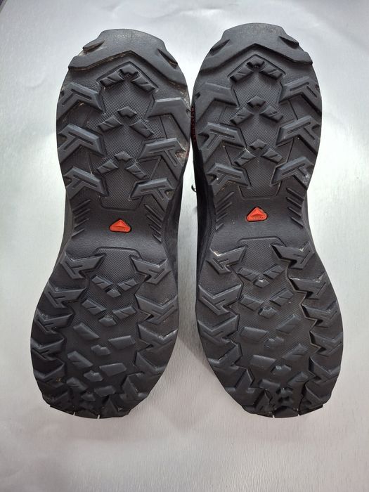 Ботинки Salomon Daintree Mid GTX