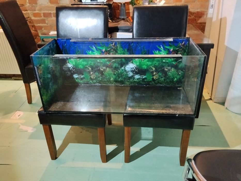 Akwarium 160l.    100x40x40 cm