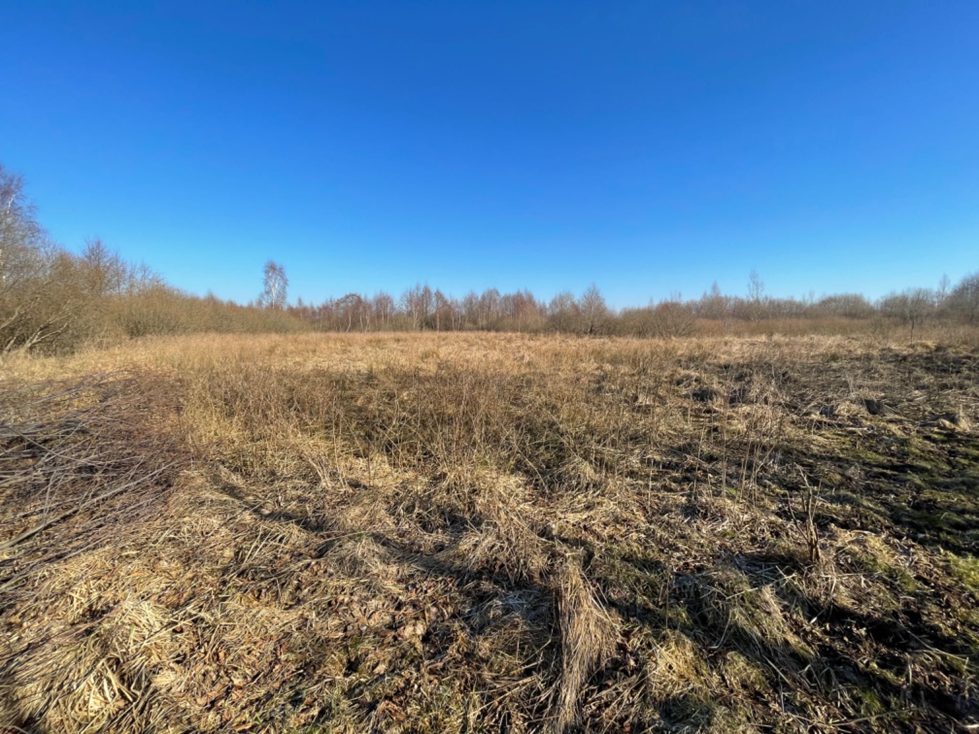 Wynajme Dzialka rolna w Mostach 38000 m2 kemping,konie,plantacje