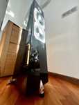 Hi-End wybitne kolumny Totem Acoustic Elemet Earth