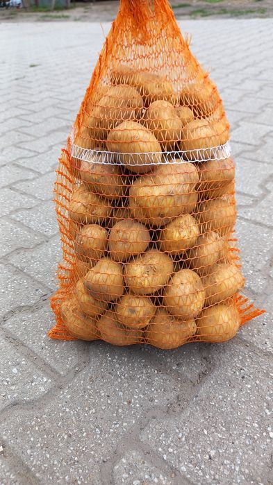 Ziemniaki Denar, ładne