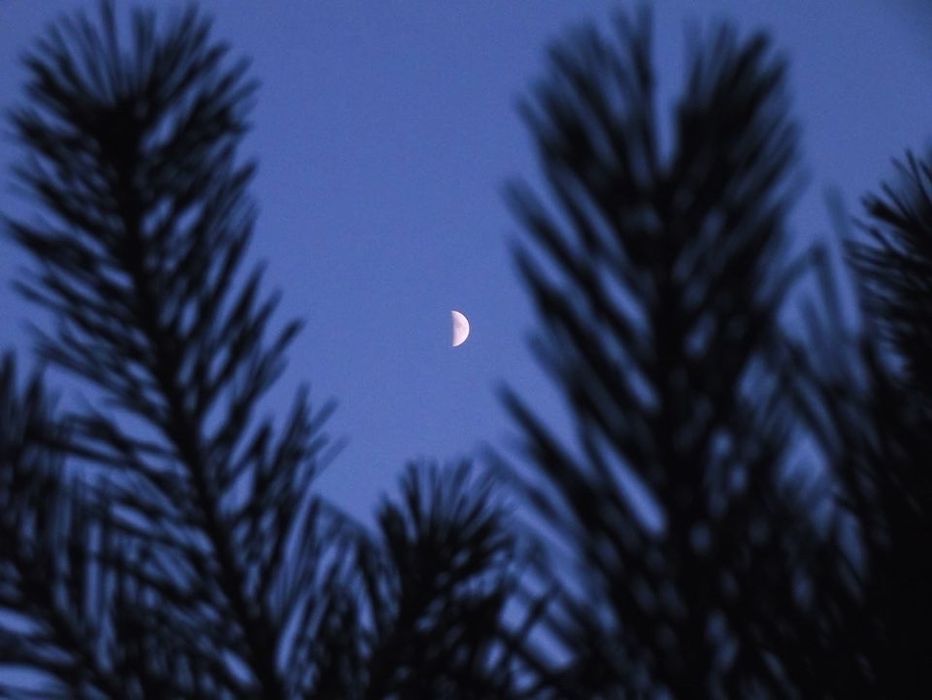 Fujifilm FinePix S2940