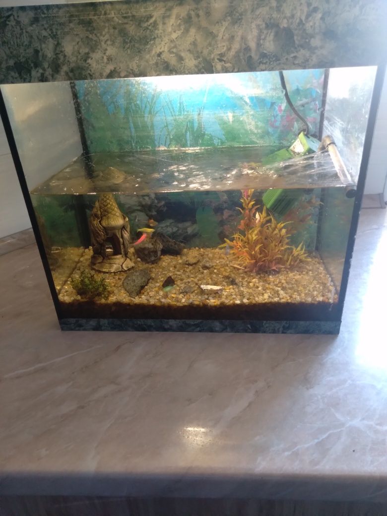 Продается аквариум с рыбками