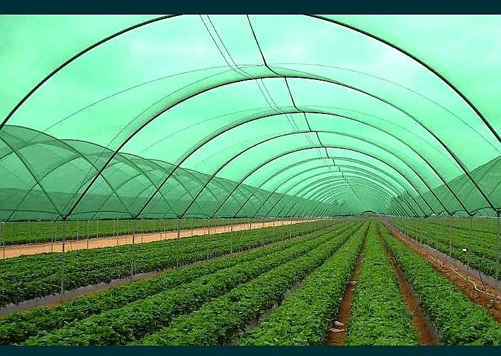 Сітка Затіняюча Сетка Затеняющая Люверсами Кольцами 45% 95% 85% 70% 60