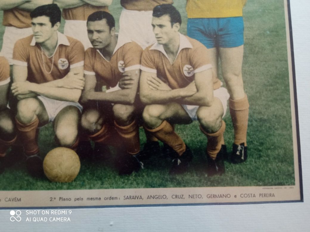 Quadro Benfica anos 60